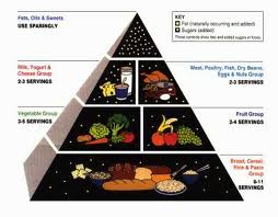 Dietary Guidelines for Americans 2010