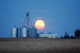 Harvest Moon Hangs Low Signaling the Approach of Fall and the Autumnal Equinox