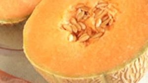 Food Recall Issued on Listeria Contaminated Cantaloupe by Safeway 