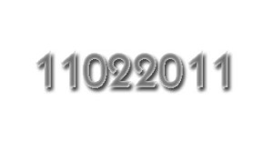 8-digit-palindrome-11022011