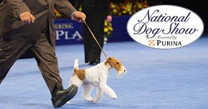 Watch Purina National Dog Show Live Online Video Stream of NBC Coverage
