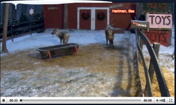 watch-santas-reindeer-live-online-video-free-reindeercam