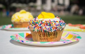 Last Crumbs Cupcake Sells for $255 on eBay